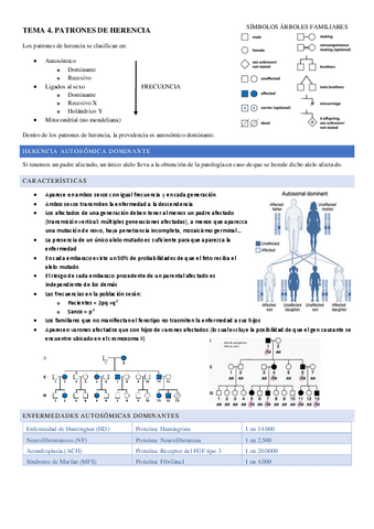 TEMA-4.pdf