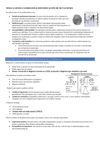 TEMA-8.pdf