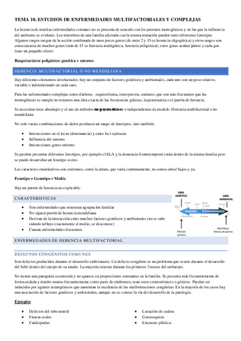 TEMA-10.pdf