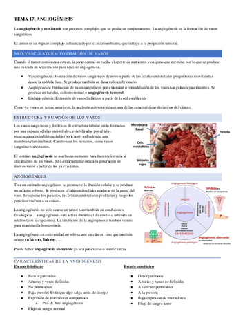 TEMA-17.pdf
