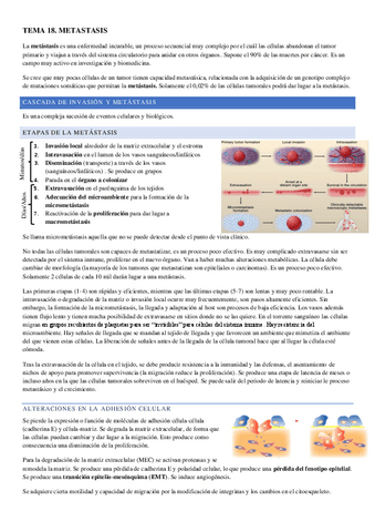 TEMA-18.pdf