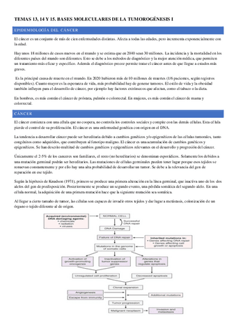 TEMA-13-14-Y-15.pdf