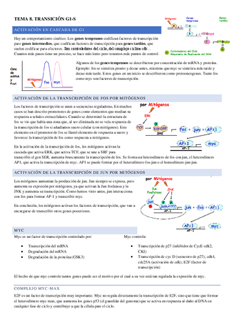 TEMA-8.pdf