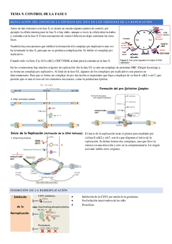 TEMA-9.pdf