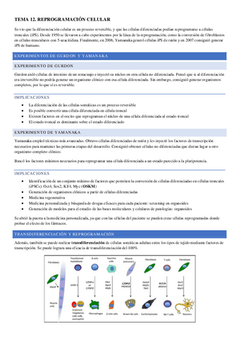 TEMA-12.pdf