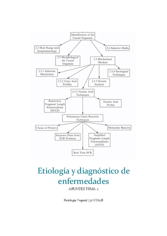 T2-etiologia-y-diagnostico.pdf