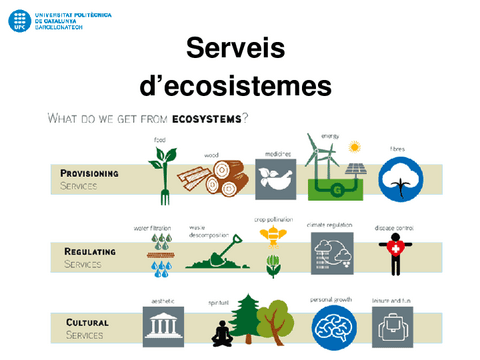 P1-T4.-Ecosystem-services-y-monetizacion.pdf