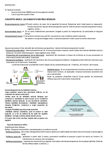Apunts-Motricitat.pdf