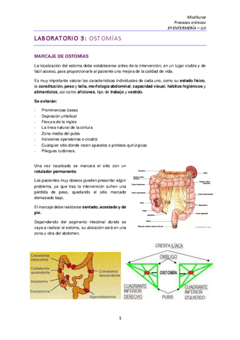 LABORATORIO-3-OSTOMIAS.pdf