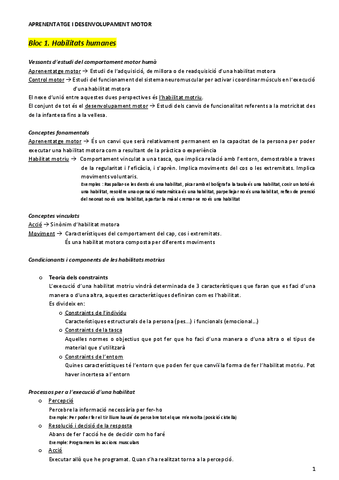 Apuntes-ADMO.pdf
