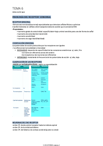 TEMA-6.pdf