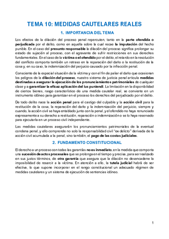 TEMA-10-PROCESO-PENAL.pdf