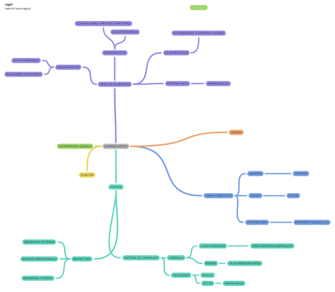 CLOROPLASTOS-mapamental.pdf