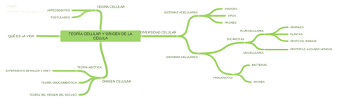 TEORACELULARYORIGENDELACLULA-mapamental.pdf