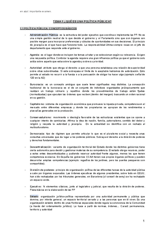 Politicas-1-3.pdf