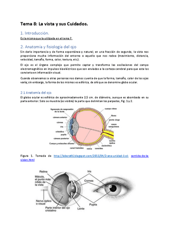 Tema-8-La-vista-y-sus-Cuidados..pdf