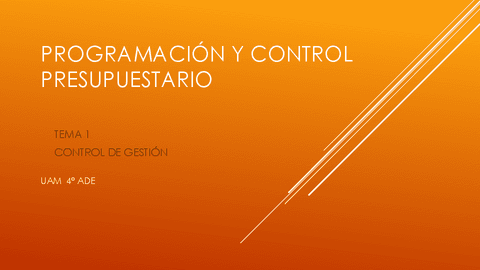 TEMA-1-Control-de-GestiAn.pdf