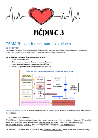 M3-T5, 6 y 7-Determinantes.pdf