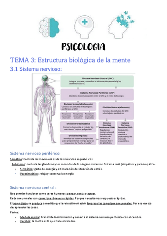 T3-Psicologia.pdf