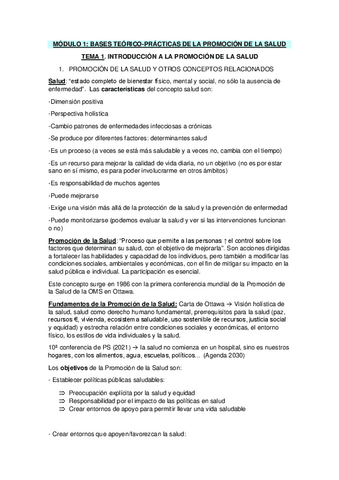 Apuntes-promocion-salud.pdf