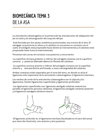BIOMECANICA-TEMA-3.pdf