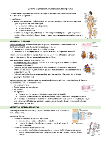 ANATOMIA-T15-tegumentario.pdf