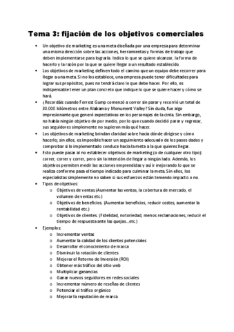 Tema-3-mkt-estrategico.pdf