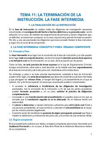 TEMA-11-PROCESO-PENAL.pdf