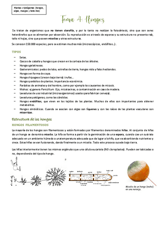 Tema-4: Hongos.pdf