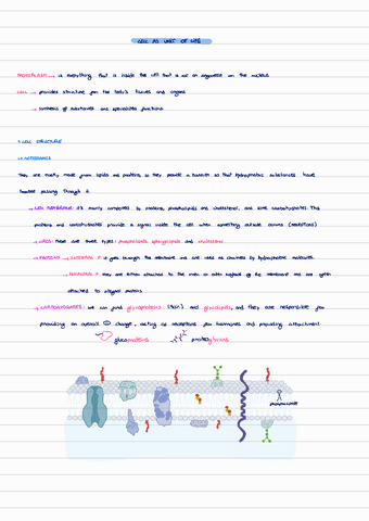 T1-cell-as-unit-of-life.pdf