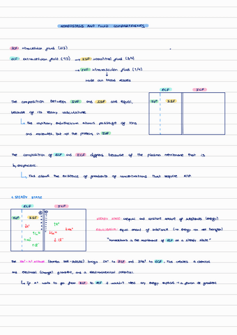 T2-transport-across-membrane.pdf