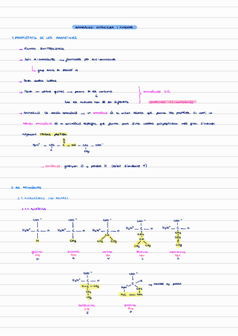 cap-2-aminoacids.pdf