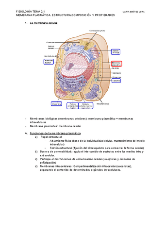 FISIOLOGIA-TEMA-2.1.pdf