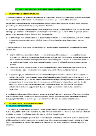 LECCION-15.-LAS-MEDIDAS-CAUTELARES..pdf