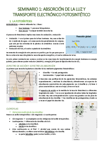 SEMINARIO-1-Absorcion-de-la-luz-y-transporte-electronico-fotosintetico.pdf