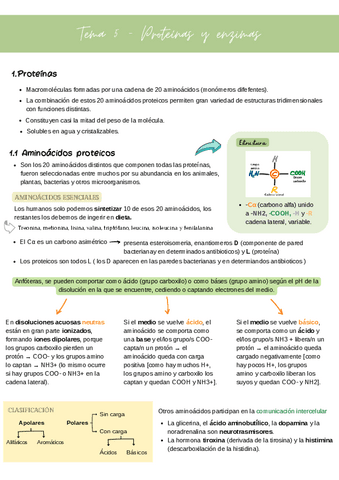 tema-5.-Proteinas-y-enzimas.pdf