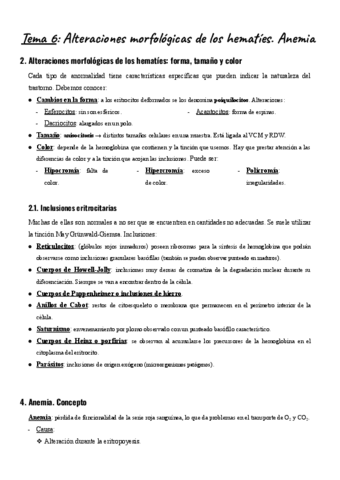 Tema-6-TAH-SGB.pdf