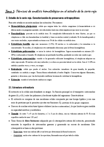 Tema-5-TAH.pdf