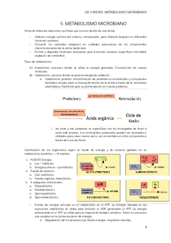 UD5-METABOLISMO-MICROBIANO.pdf