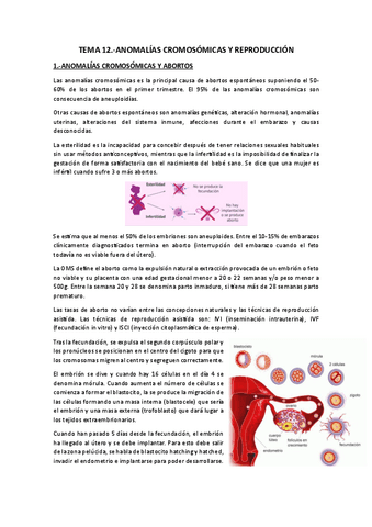Tema 12.-Anomalias cromosómicas y reproducción.pdf