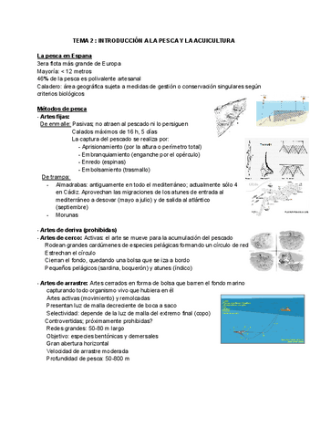 TEMA-2--INTRODUCCION-A-LA-PESCA-Y-LA-ACUICULTURA.docx.pdf