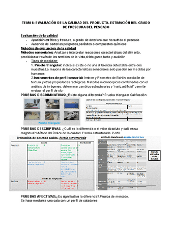 TEMA-6-EVALUACION-DE-LA-CALIDAD-DEL-PRODUCTO.docx.pdf