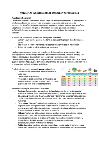 TEMA-5-PLANTAS-SUPERIORES.pdf