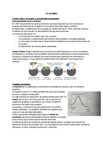 TEMA-4-ENZIMAS.pdf
