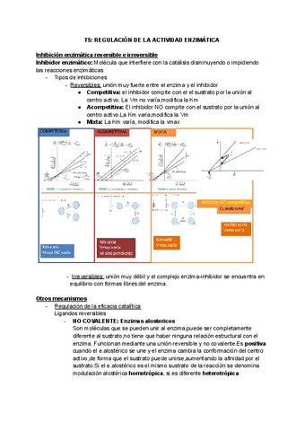 TEMA-5-REGULACION-DE-LA-ACTIVIDAD-ENZIMATICA.pdf