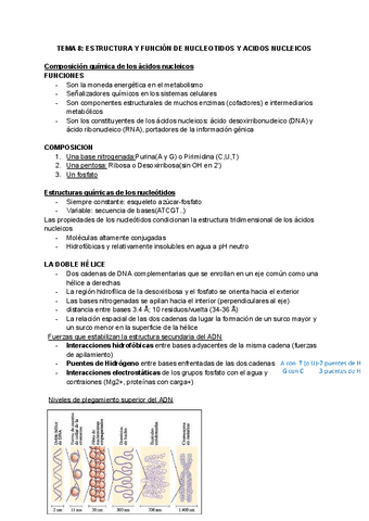 TEMA-8-ESTRUCTURA-Y-FUNCION-DE-NUCLEOTIDOS-Y-ACIDOS-NUCLEICOS.pdf