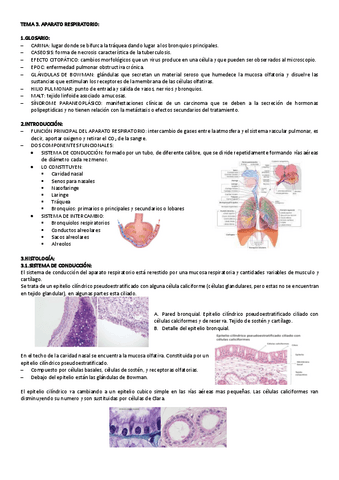 TEMA-3-CITO-GENE.pdf