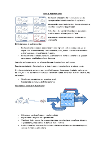 Tema-8.-Reclutamiento.pdf