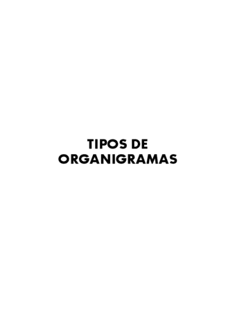 TIPOS-DE-ORGANIGRAMAS.pdf