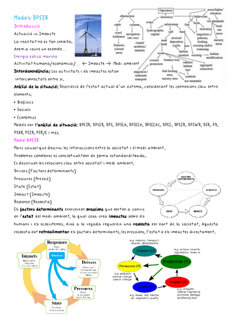 Models-DPSIR.pdf